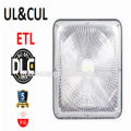 UL ETL 80W Garden Light IP65 Waterproof Gas Station Hot Selling Canopy Light With 5 Years Warranty